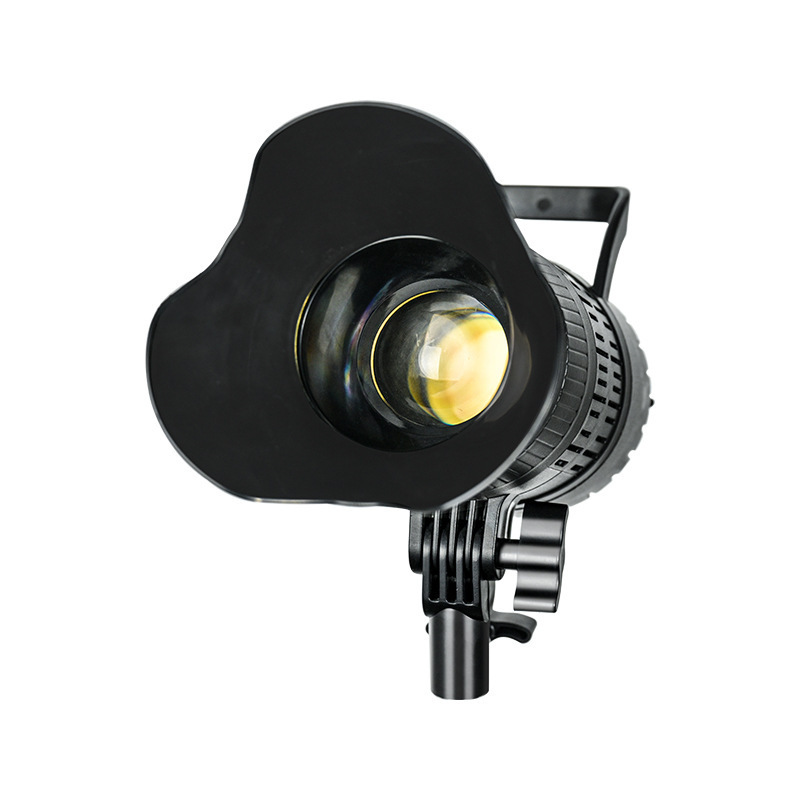 Spotlight LED 220V Studio Vide - Portrait Photography With Lighting recension och pris