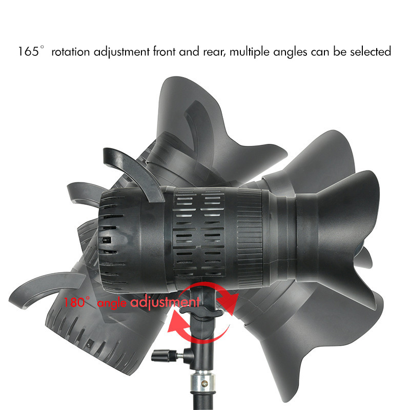 Spotlight LED 220V Studio Vide - Portrait Photography With Lighting recension och pris