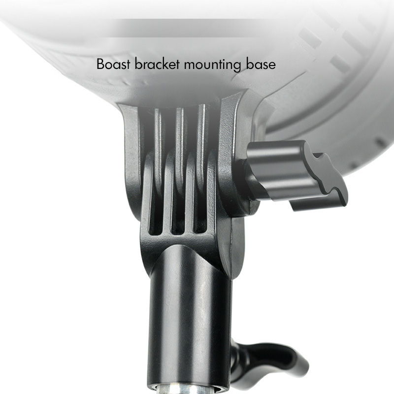 Spotlight LED 220V Studio Vide - Portrait Photography With Lighting recension och pris
